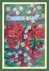 Bacopa & Geranium