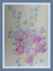 Forget-me-not & Sweet Pea