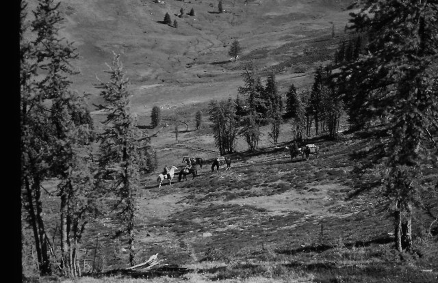 Pics from Dads slides 261