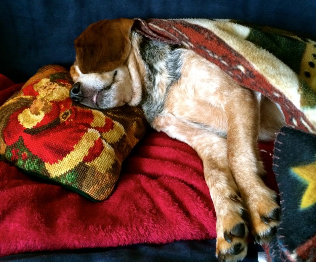 IMG_1731 - Version 2