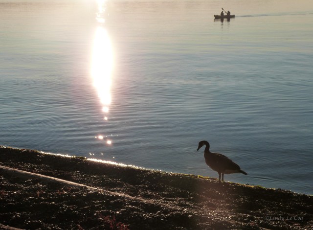 P1000096 - Version 2