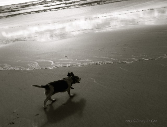 IMG_2127 - Version 2