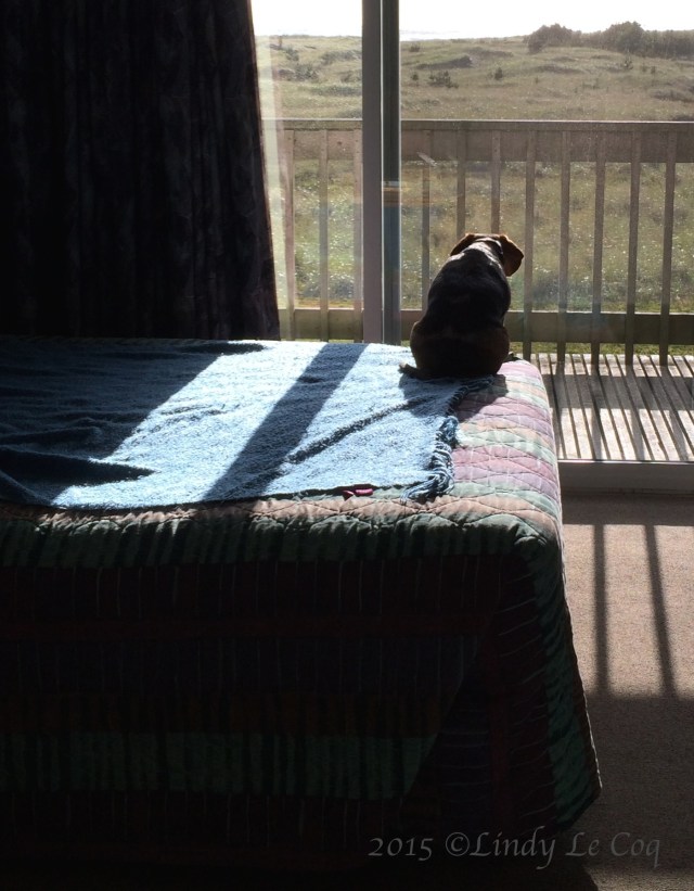 IMG_2132 - Version 3