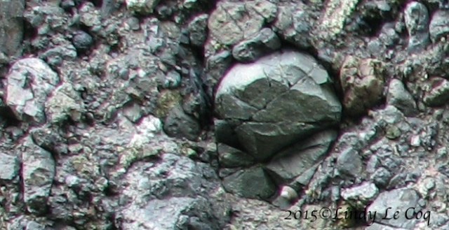 IMG_0561.JPG - Version 3