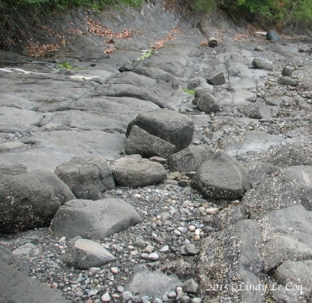 rocks are born 1 - Version 2