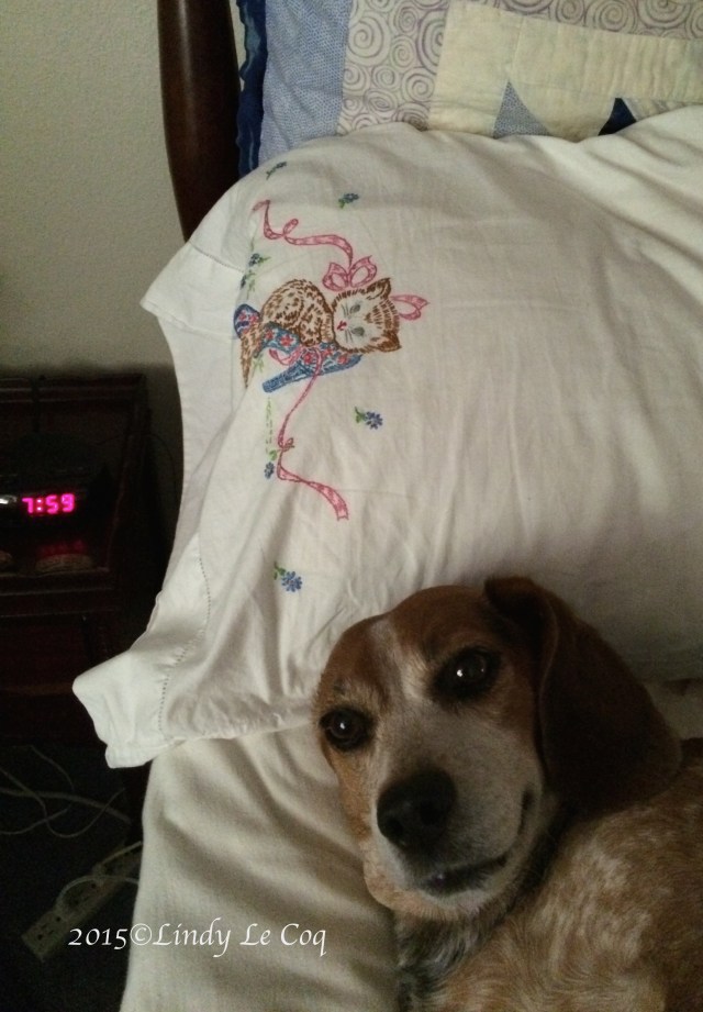 IMG_2022 - Version 2