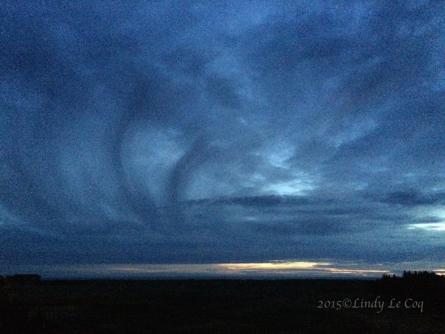 IMG_2883 - Version 2