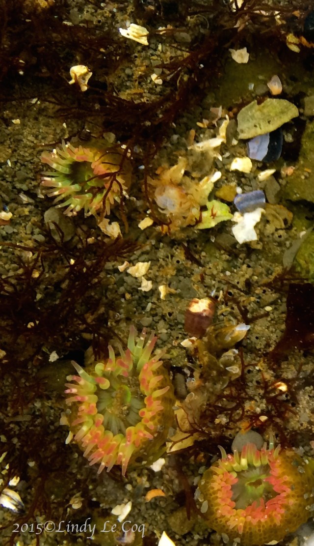 IMG_4108 - Version 2