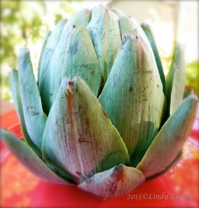 P1040856 - Version 2