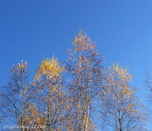 IMG_4280 - Version 4