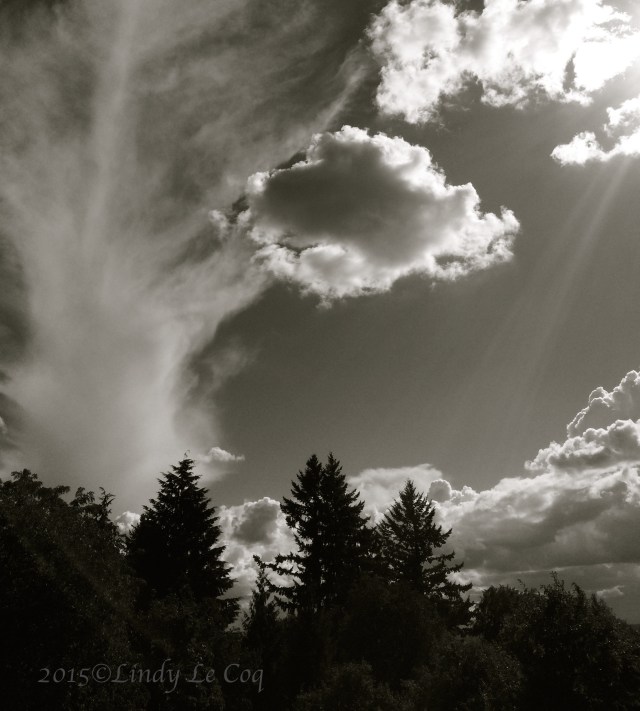 IMG_3644 - Version 2