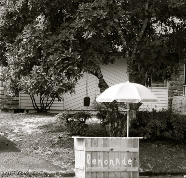 IMG_3346 - Version 2