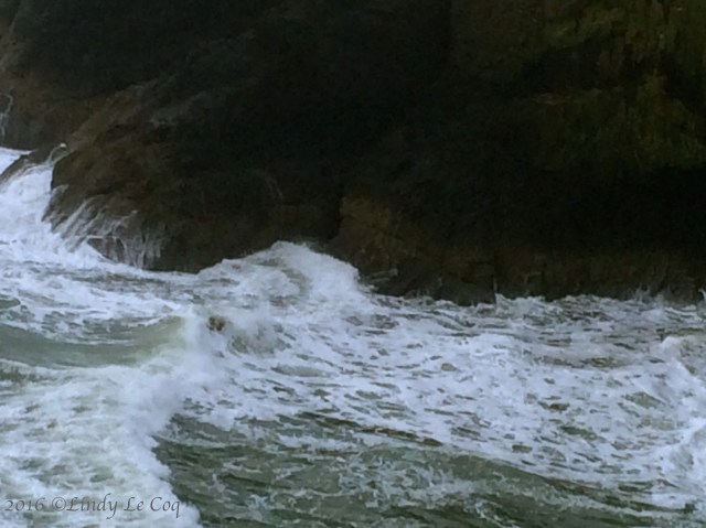 IMG_4849 - Version 2