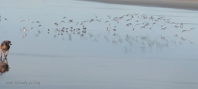 P1050610 - Version 2