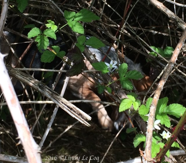 IMG_1991 - Version 2