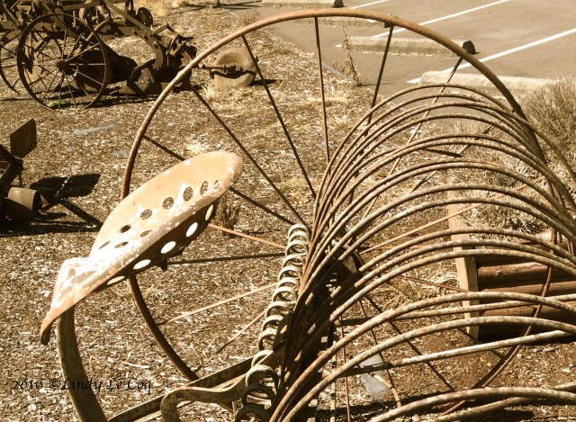 IMG_3701 - Version 3