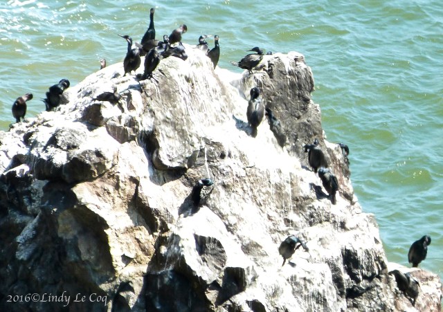 P1060432 - Version 2