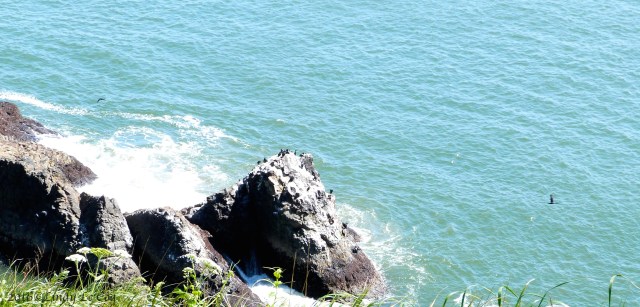 P1060438 - Version 2