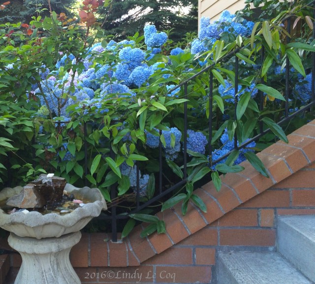 IMG_5415 - Version 2