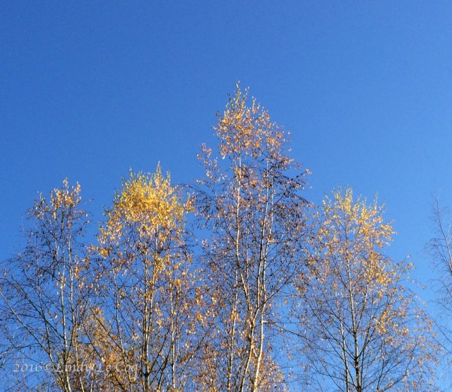 IMG_4280 - Version 4