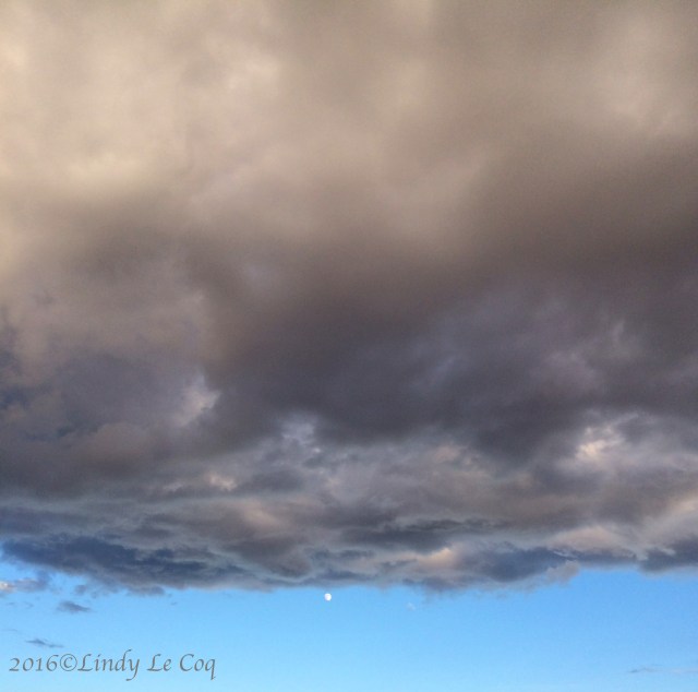 IMG_0522 - Version 2