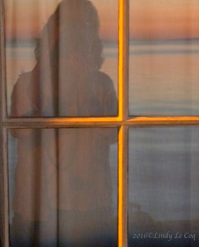 P1000343 - Version 2