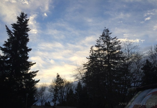 big-storm-on-the-rise