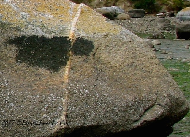 IMG_0568 - Version 2