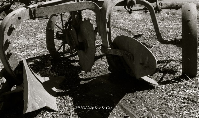 IMG_3694 - Version 3