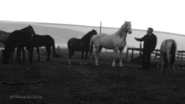 Pics Scannded From Dad Low (5)